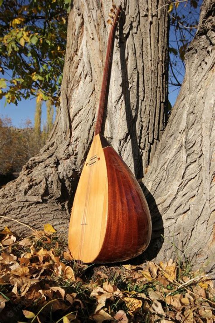Discover The Enchanting World Of Mehmet Erk: Turkish Classical Music Maestro