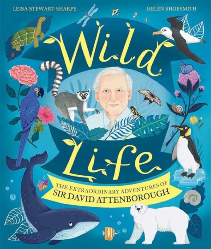 Discover The Extraordinary Life Of Cutter Stimpson