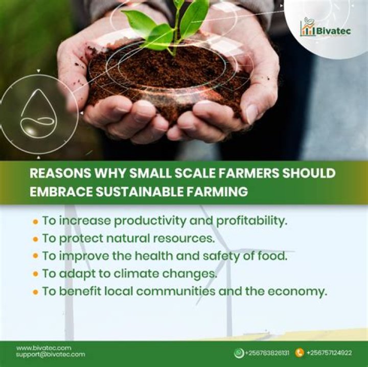 Discover The Heart Of Sustainable Farming: KnuckleBump Farms