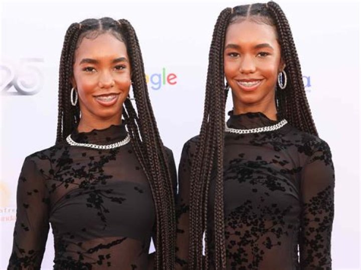 Discoveries And Insights Into Diddy's Twins