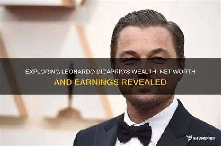 Net Worth And Earnings Revealed