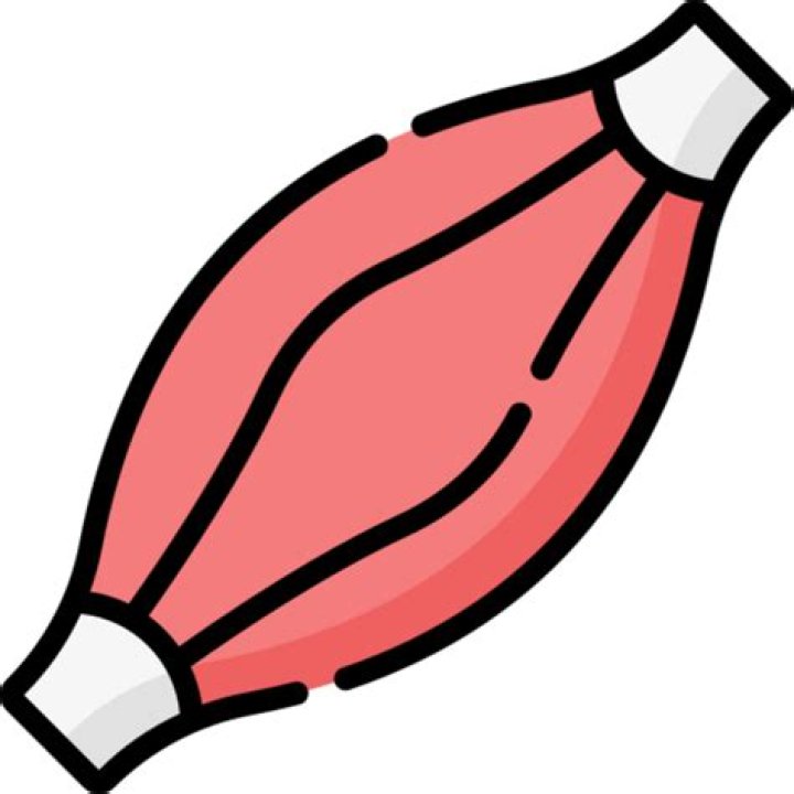 Secrets Of A Muscular Icon