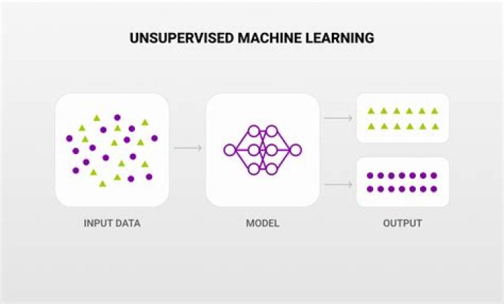 Uncover Hidden Insights And Educational Triumphs