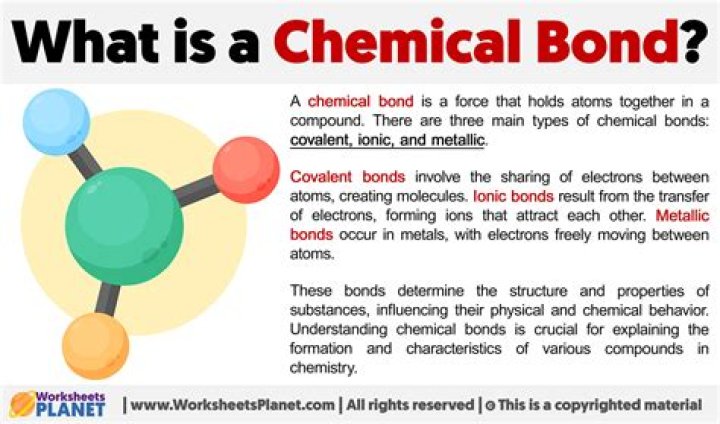 Uncovering The Bond Of A Lifetime