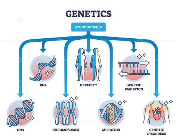 Unlocking The Secrets Of Genetics And Medicine