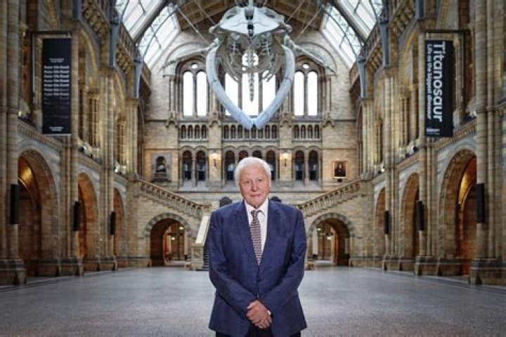 Unveil The Extraordinary Wealth Of Sir David Attenborough: Discoveries And Insights