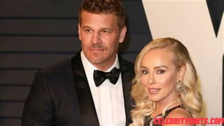 Unveiling The Enigmatic Ingrid Quinn: David Boreanaz's Ex-Wife