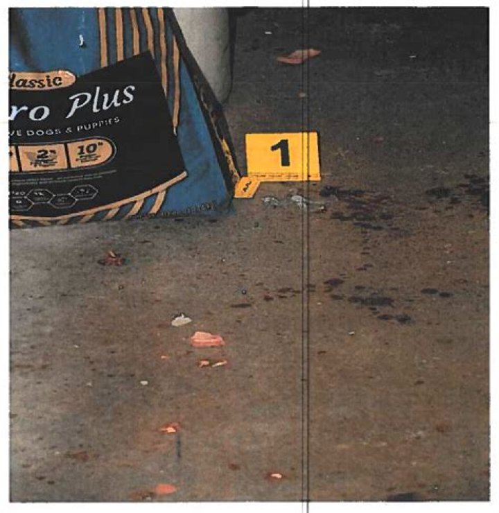 Unveiling The Secrets Of ShootaShellz Crime Scenes: Discoveries And Insights